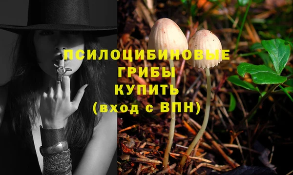 СК Краснослободск