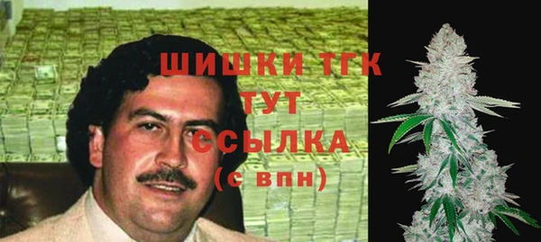СК Краснослободск