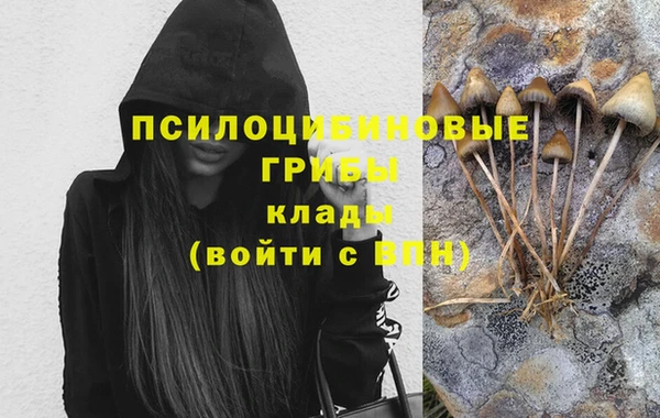 винт Коряжма