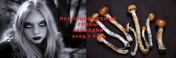 первитин Костерёво