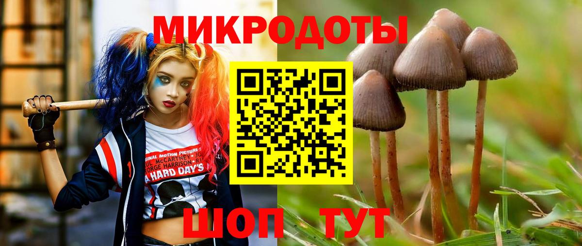 Галлюциногенные грибы Cubensis Армавир