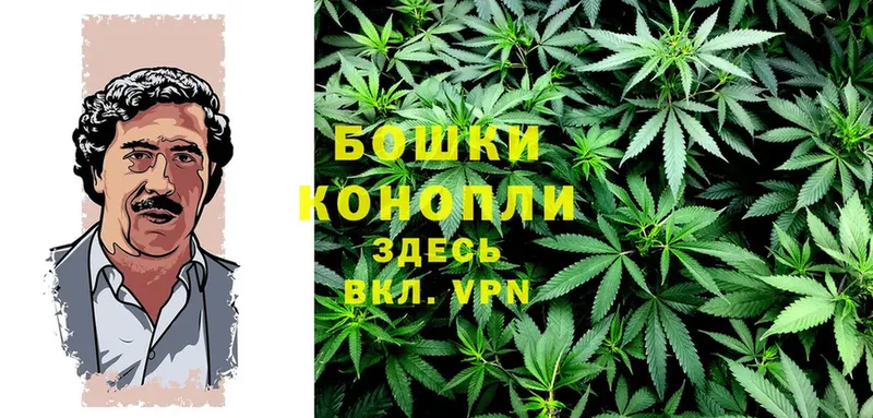 где можно купить наркотик  Армавир  Бошки Шишки White Widow 